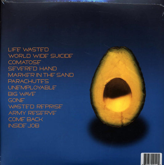 Pearl Jam - Pearl Jam