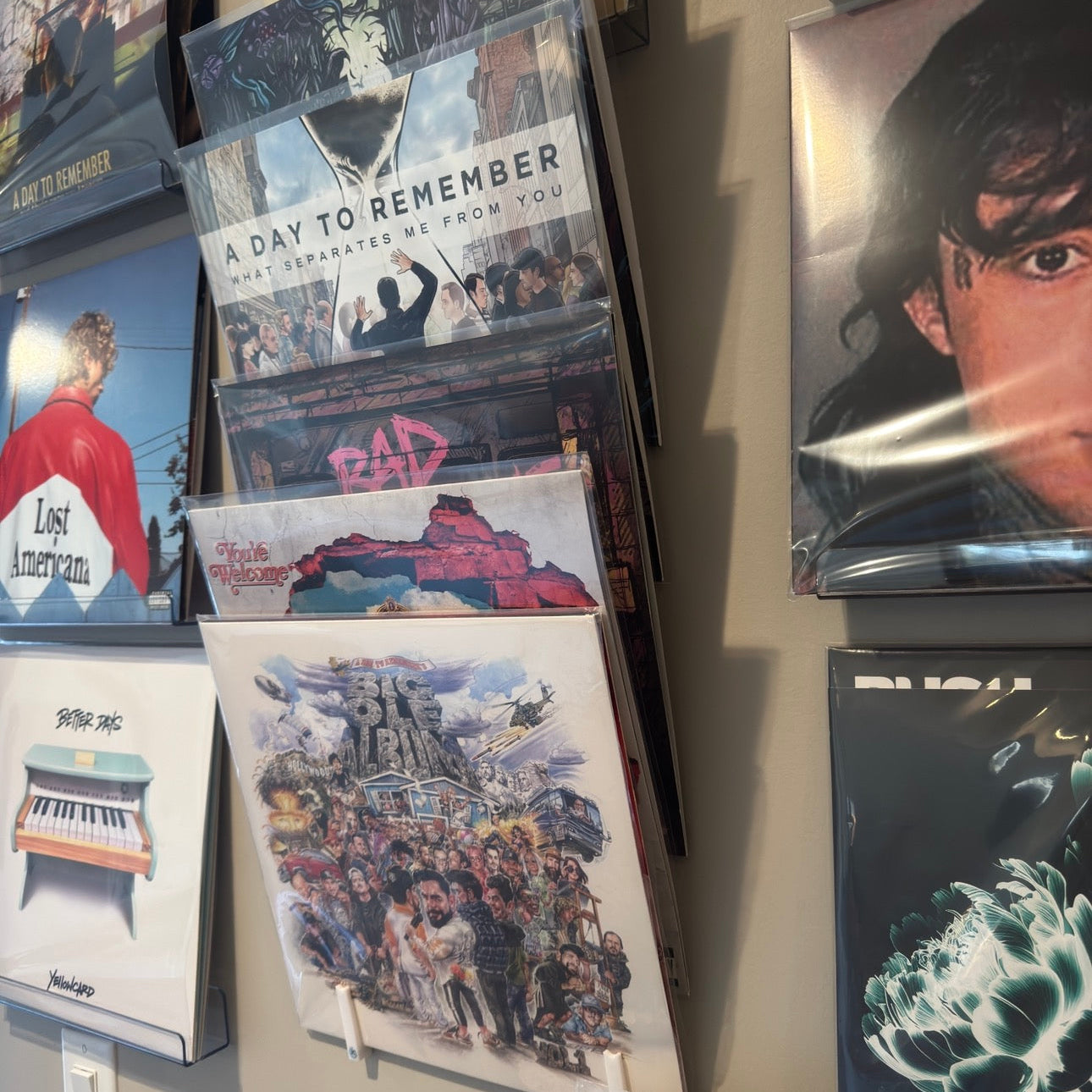 Record Album Wall Display (1 Set)