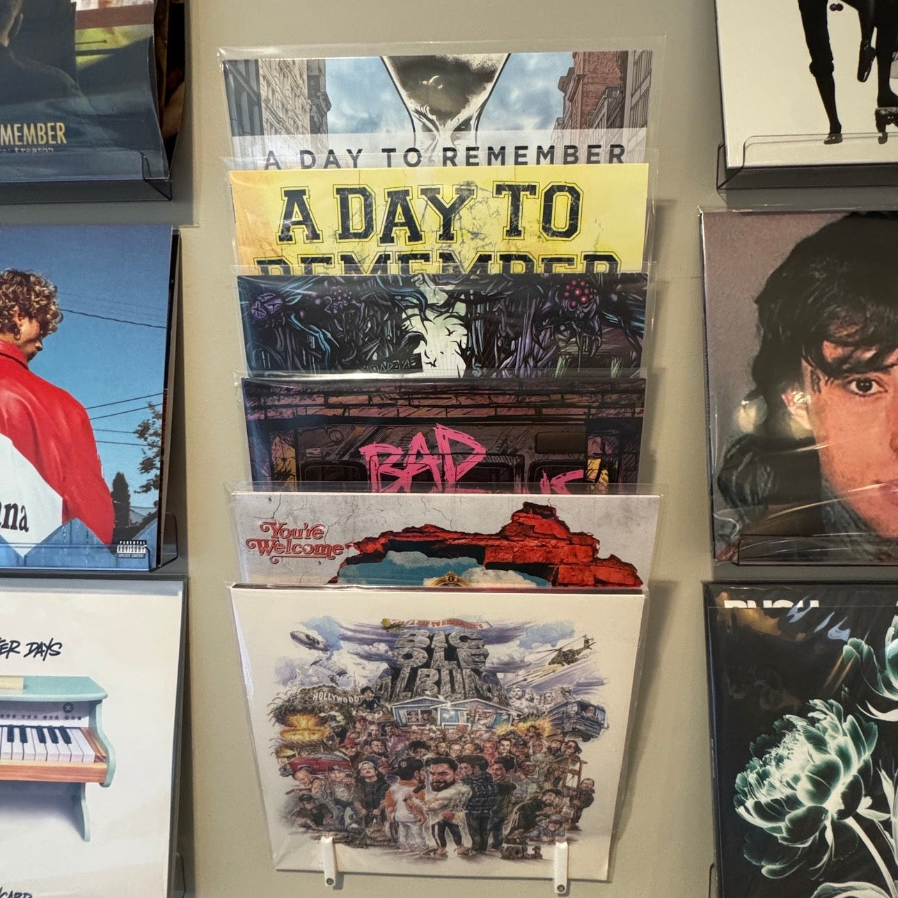 Record Album Wall Display (1 Set)