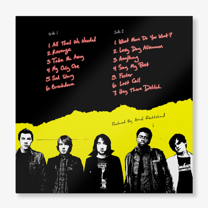 Plain White T's - All That We Needed