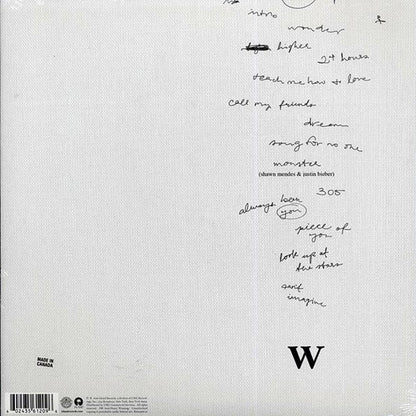 Shawn Mendez - Wonder