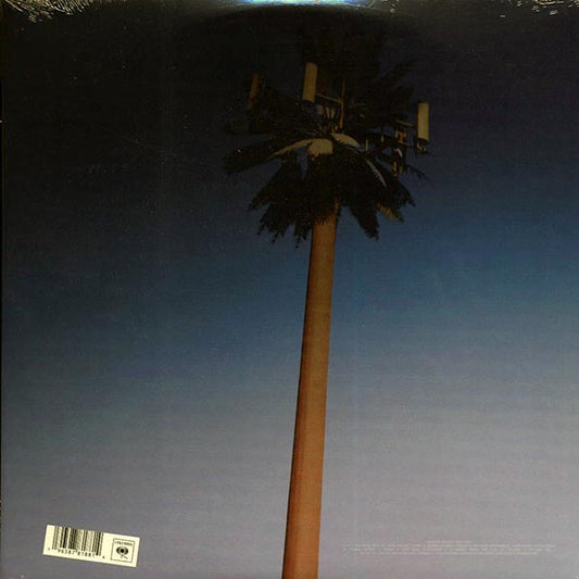 VINYL Miley Cyrus - Endless Summer Vacation